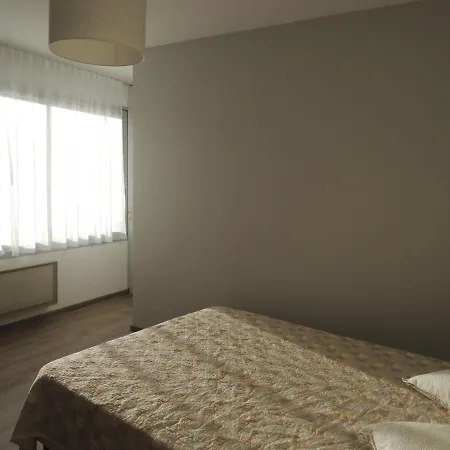 Bellevue Hotel Chambon-sur-Lac